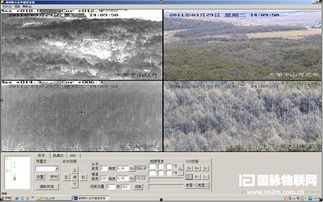 林業生態安全物聯網技術 重慶的創新突破與前景展望