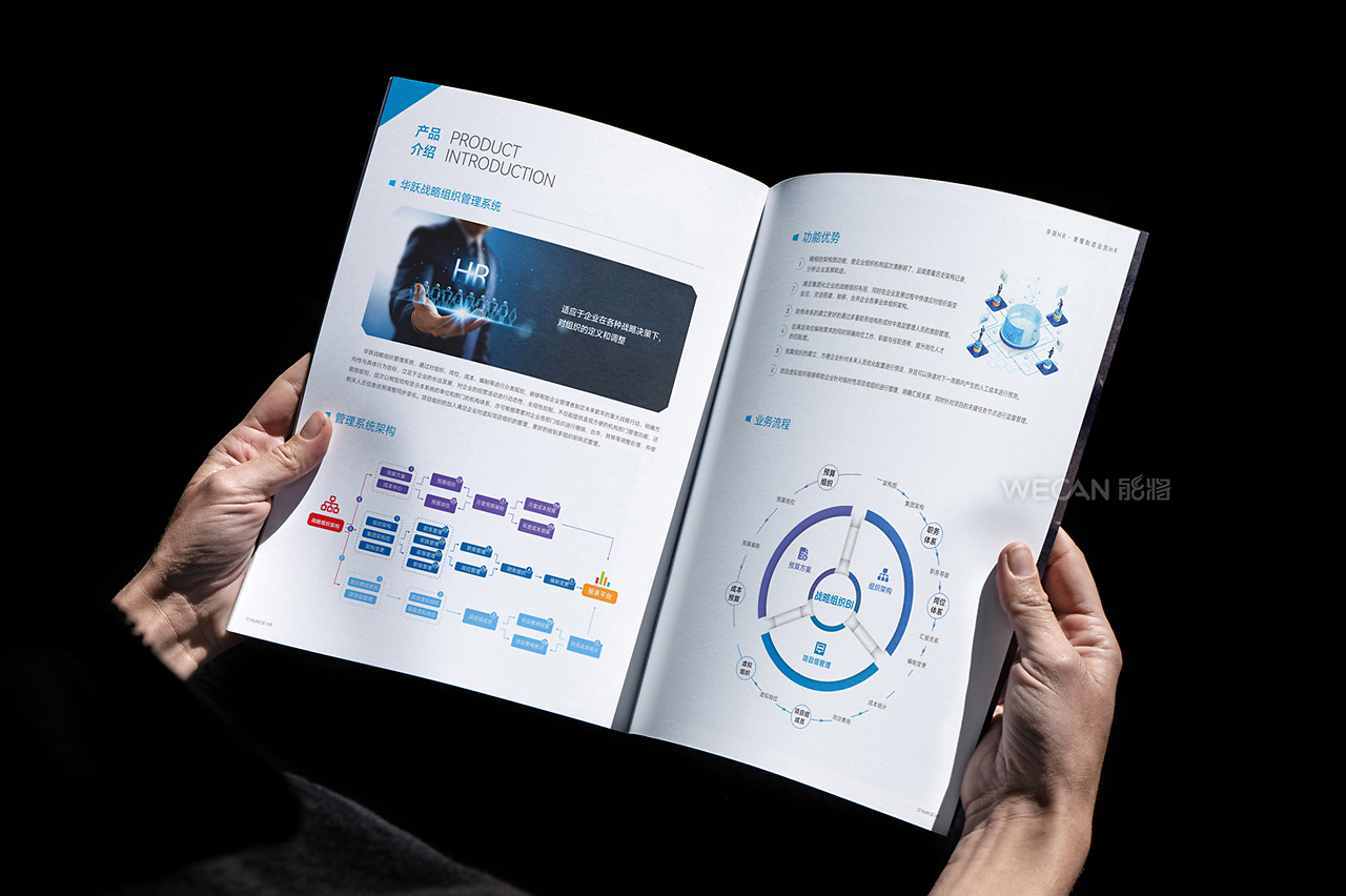 融合科技與專業(yè) 打造卓越的信息科技咨詢服務(wù)畫冊設(shè)計